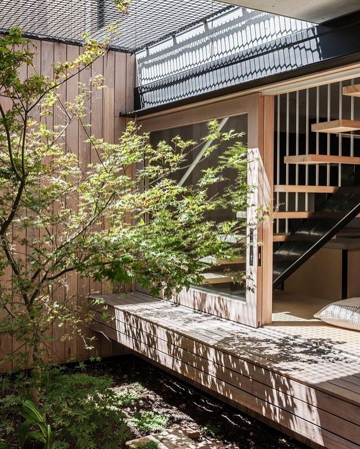 Figr Architecture Interior courtyard tree