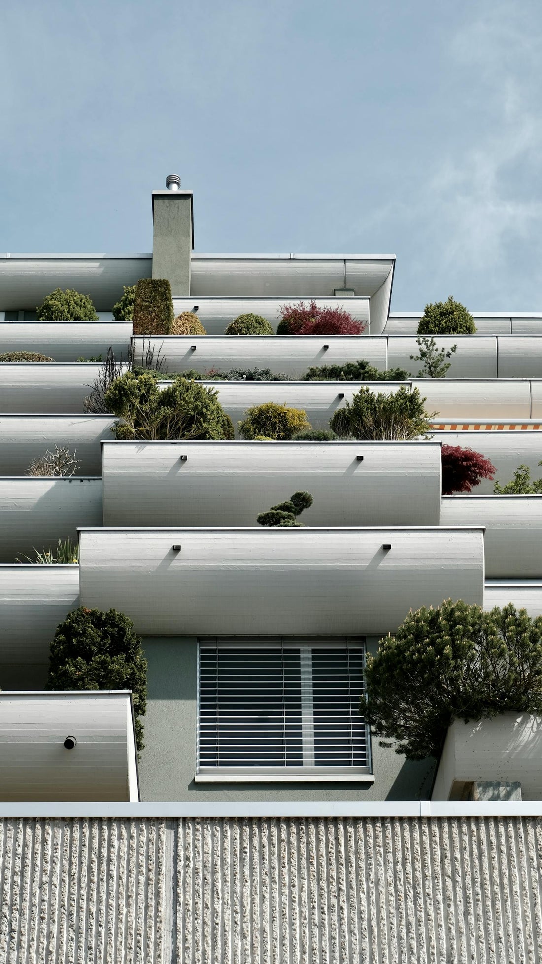 The Fifth Facade: Why Your Roof Should Be Growing